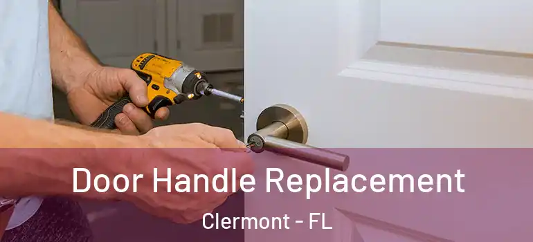  Door Handle Replacement Clermont - FL